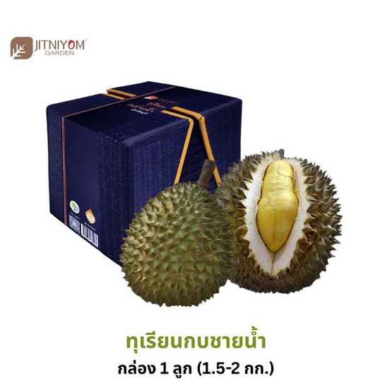 สวนจิตร์นิยม ทุเรียนกบชายน้ำ GI จ. ปราจีนบุรี 1 ลูก (1.5-2 กก.)