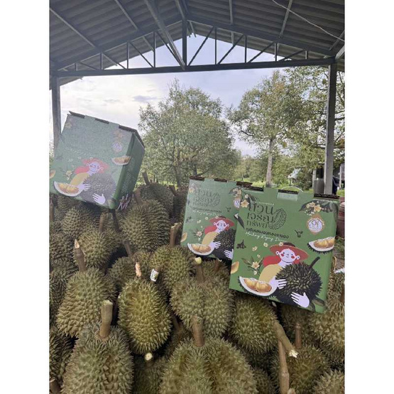 สวนเจริญทรัพย์ ทุเรียนหมอนทองระยอง GI กล่อง 1 ลูก (3.5-4 กก.)