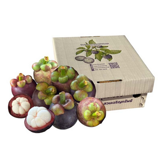 สวนเจริญทรัพย์ มังคุด 3 น้ำ ระยอง คละไซซ์ กล่อง 2.3-2.5 กิโลกรัม