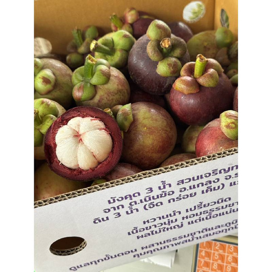 สวนเจริญทรัพย์ มังคุด 3 น้ำ ระยอง คละไซซ์ กล่อง 2.3-2.5 กิโลกรัม