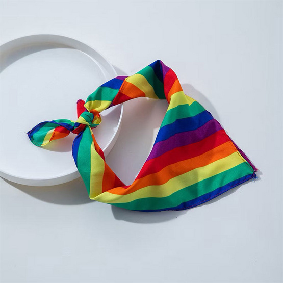 CC Pride เซ็ตผ้าผูกผมและสครันชี่ แพ็ค 3 ชิ้น