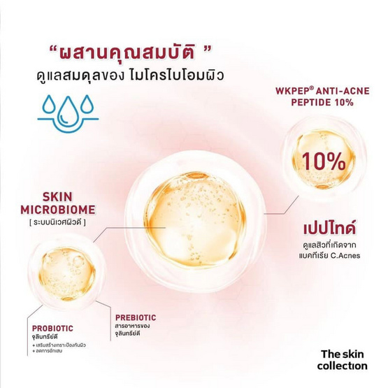 The Skin Collection เจลแต้มสิว Acne B-Pro Spot Gel 10 กรัม