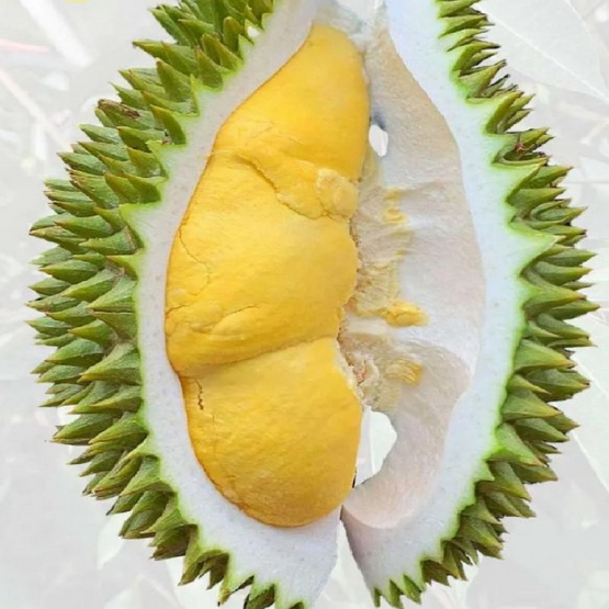 สวนลุงเบิ้ม ทุเรียนนกหยิบ กล่อง 2 ลูก (4-4.5 กก.)