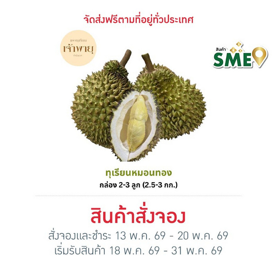 สวนเจ้าพายุ ทุเรียนหมอนทอง กล่อง 2-3 ลูก (2.5-3 กก.)