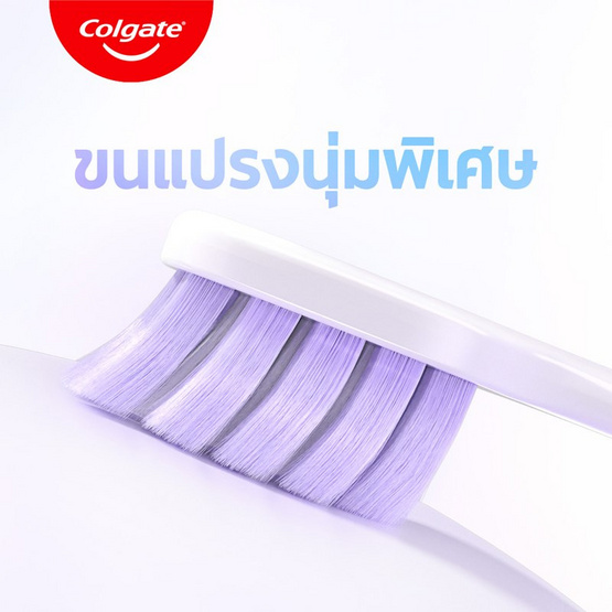 คอลเกต แปรงสีฟัน เจนเทิล ซอฟต์ คลีน (แพ็ก 3 ด้าม)