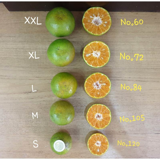 สวนร่มเกล้า ส้มสายน้ำผึ้ง คละไซซ์ No.84/72 ขนาด 5 กก. (กล่อง 35-40 ลูก)