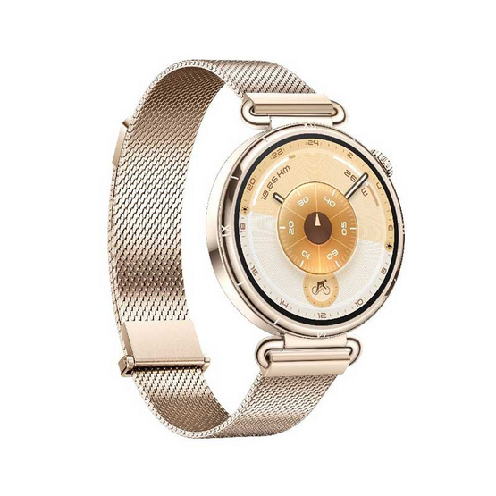 HUAWEI นาฬิกา Smart Watch WATCH GT 6 41MM