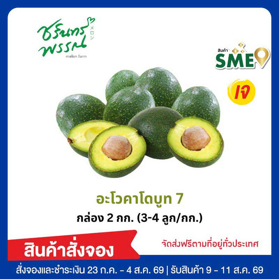 ไร่ชรินทร์พรรณ อะโวคาโด สายพันธุ์บูท 7 (3-4 ลูก/กก.) กล่อง 2 กิโลกรัม