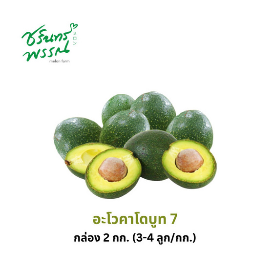 ไร่ชรินทร์พรรณ อะโวคาโด สายพันธุ์บูท 7 (3-4 ลูก/กก.) กล่อง 2 กิโลกรัม