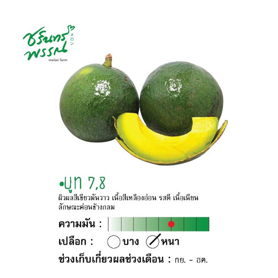 ไร่ชรินทร์พรรณ อะโวคาโด สายพันธุ์บูท 7 (3-4 ลูก/กก.) กล่อง 2 กิโลกรัม