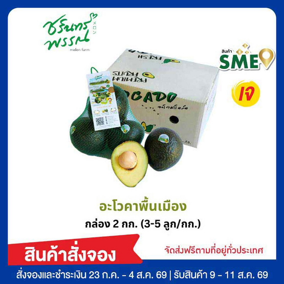 ไร่ชรินทร์พรรณ อะโวคาโดพันธุ์พื้นเมือง (3-5ลูก/กก.) กล่อง 2 กิโลกรัม