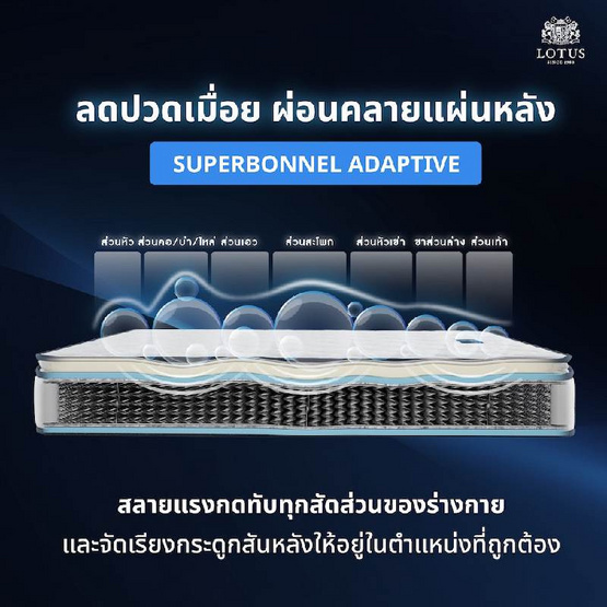 LOTUS ที่นอนสปริง รุ่น Premium