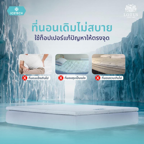 LOTUS ท็อปเปอร์ยางพารา รุ่น Regis I