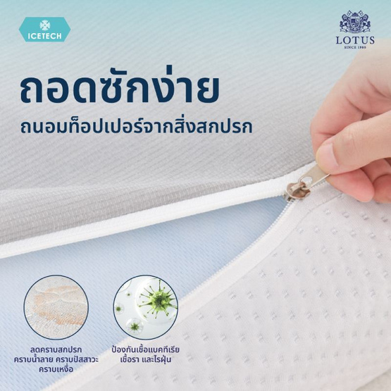 LOTUS ท็อปเปอร์ยางพารา รุ่น Regis I