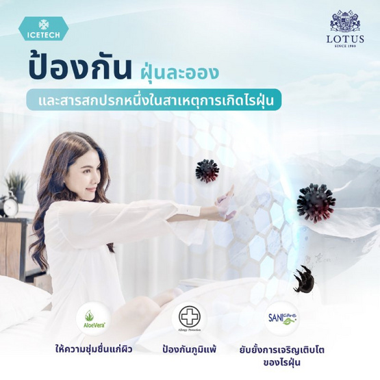 LOTUS ท็อปเปอร์ยางพารา รุ่น Regis I