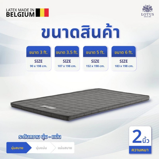 LOTUS ท็อปเปอร์ยางพารา รุ่น ENHANCE (2นิ้ว)