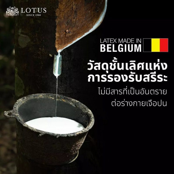 LOTUS ท็อปเปอร์ยางพารา รุ่น ENHANCE (3นิ้ว)