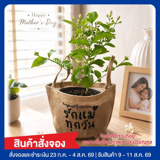 BangkokFlower ต้นมะลิมงคลในถุงกระสอบ รักแม่
