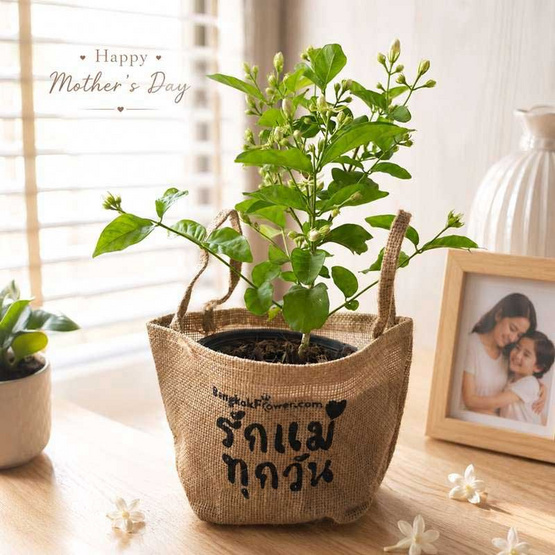 BangkokFlower ต้นมะลิมงคลในถุงกระสอบ รักแม่