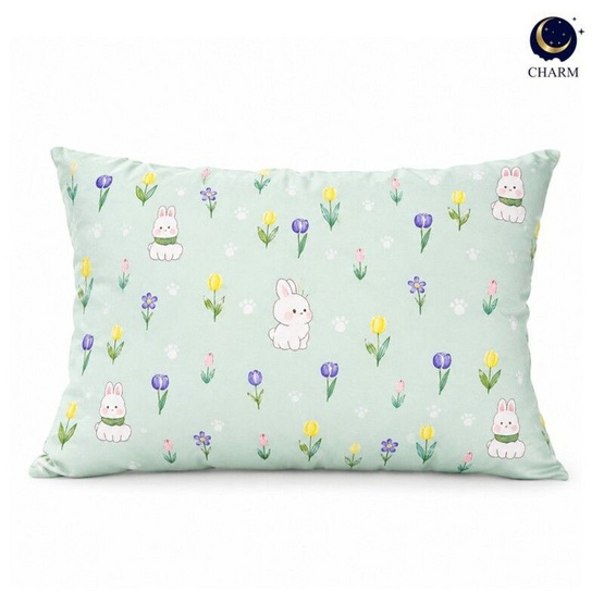 Charm หมอนหนุน Mint Dream