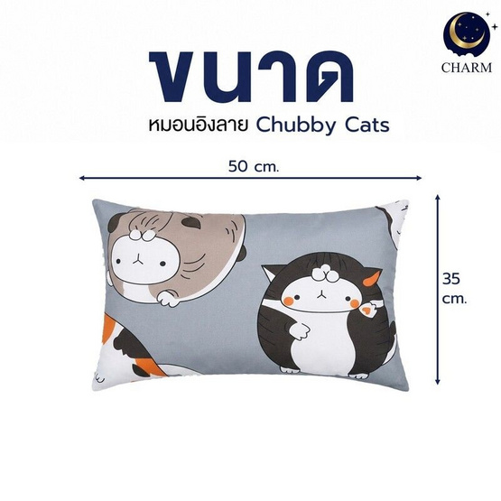Charm หมอนอิงยาว ลาย Chubby Cats 35x50 ซม.