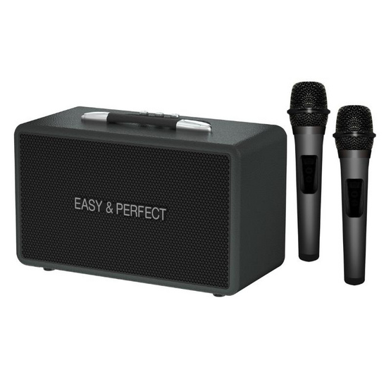 Easy & Perfect ลำโพงบลูทูธพกพา  รุ่น 4205 PLUS