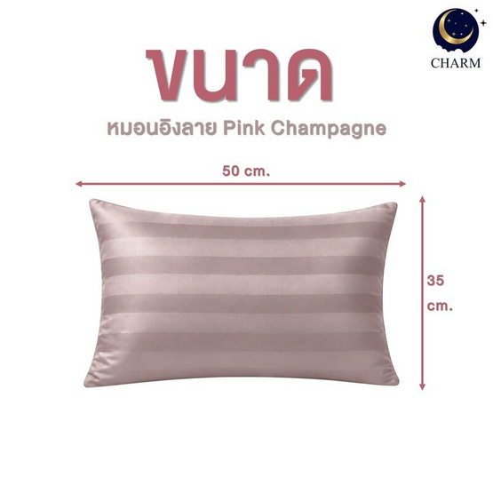 Charm เซตหมอนอิง ลาย Pink Champagne 35x50 ซม. (แพ็ก 2 ชิ้น)