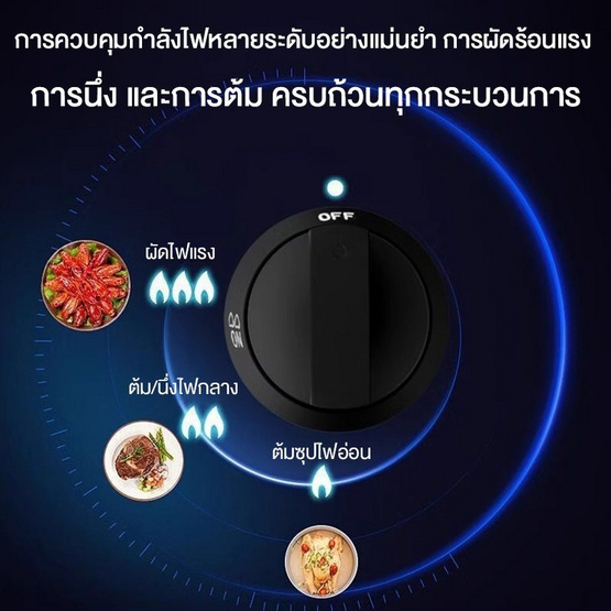 Camel เตาแก๊สหัวคู่สแตนเลส ความแรงไฟ 4.2KW รุ่น D153-P1