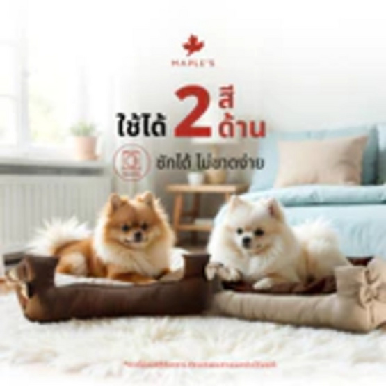 MAPLE'S เบาะสัตว์เลี้ยง 2-in-1 ใช้ในรถได้ สีเบจ-กรม