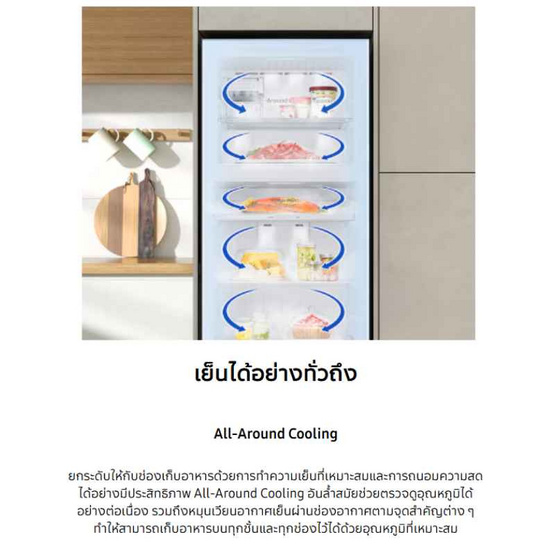 Samsung ตู้เย็น 2 ประตู 13.9 คิว รุ่น RT38CG6020S9ST