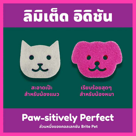 สก๊อตช์-ไบรต์ 3M แผ่นใยขัดพร้อมฟองน้ำรูปแมว