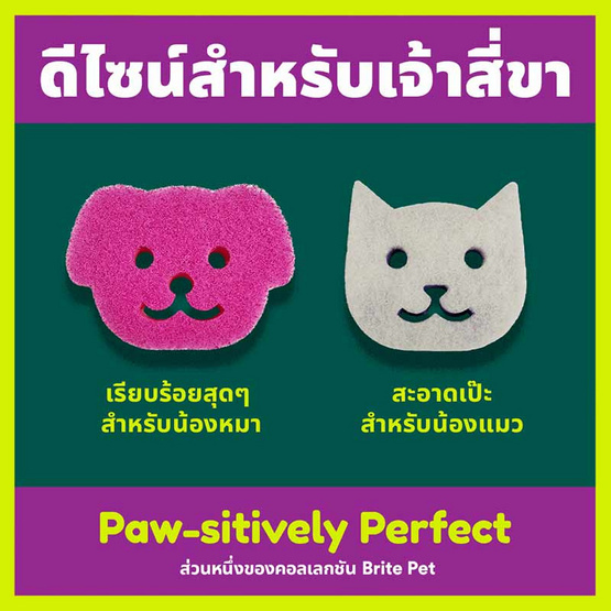 สก๊อตช์-ไบรต์ 3M แผ่นใยขัดพร้อมฟองน้ำรูปสุนัข