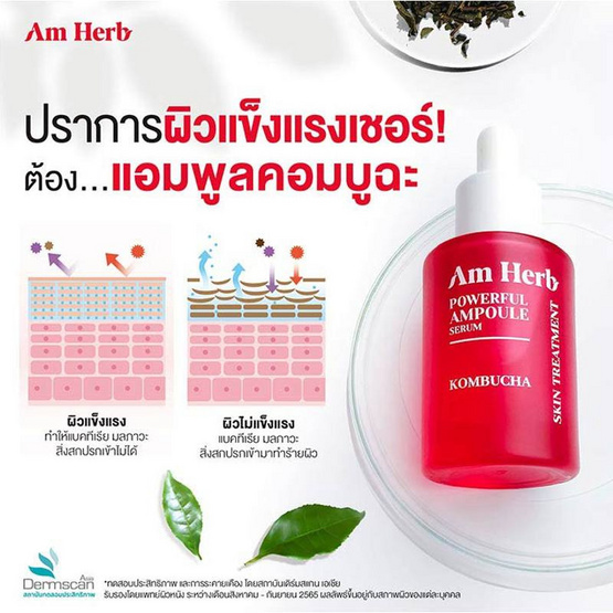Am Herb เซรั่ม Powerful Kombucha Skin Treatment Ampoule Serum 20 มล.