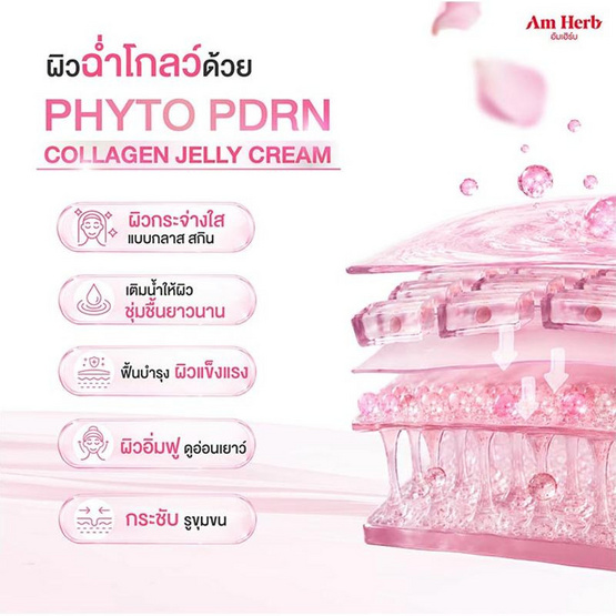 Am Herb ครีมบำรุงผิวหน้า Phyto PDRN Collagen Jelly Cream 30กรัม