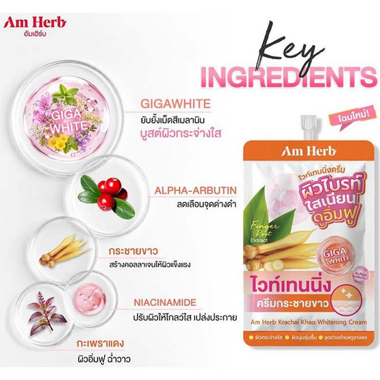 Am Herb ครีมบำรุงผิวหน้า Krachai Kao Whitening Cream 8กรัม (แพ็ก6)