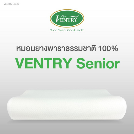 Ventry หมอนยางพารา รุ่น Senior