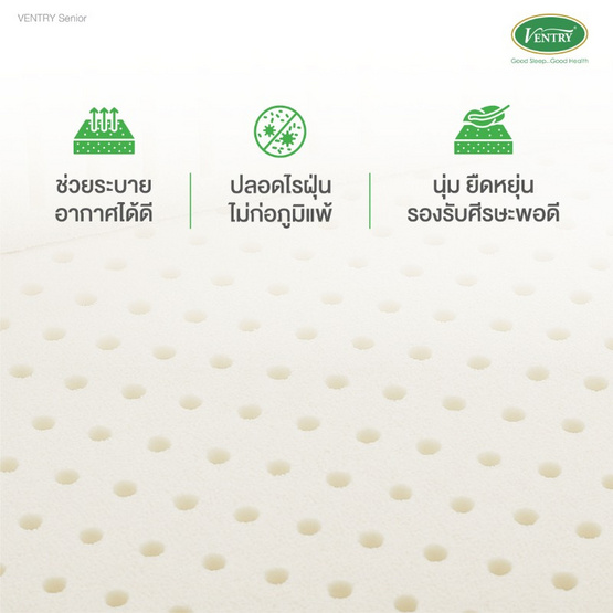 Ventry หมอนยางพารา รุ่น Senior