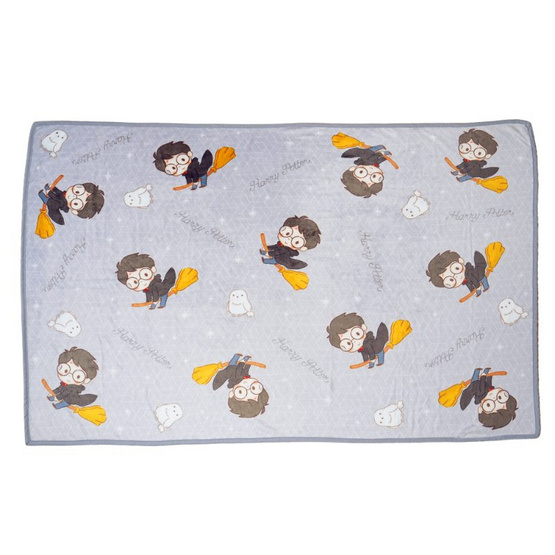SatinPlus ผ้าห่ม Flannel ลาย Harry Potter PF003 ขนาด 60x40 นิ้ว