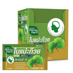 Handy Herb (แซนด์-เอ็ม แฮนดี้เฮิร์บ) ใบแปะก๊วยสกัด 110 มก. บรรจุ 24 แคปซูล