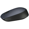 Logitech Wireless Mouse M171