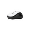 Targus W620 Wireless 4-Key BlueTrace Mouse