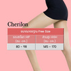 Cherilon เชอรีล่อน รุ่น NSA-CLICS Linen Sheer Support ถุงน่องเนื้อลินินเชียร์ Pack 6 คู่