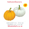 ชุดฟักทองแฟนซี 400 กรัม