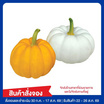 ชุดฟักทองแฟนซี 400 กรัม