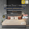 Satin ที่นอน Dream Tree รุ่น DAHLIA