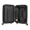 American Tourister - CURIO SPINNER 55/20 TSA