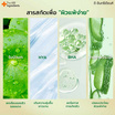 THE INGREDIENTS เจลบำรุงผิวหน้า Cica Blemish Soothing Gel 50 กรัม (6 ซอง)