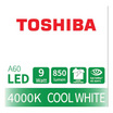 Toshiba หลอด LED Bulb G7 9W คูลไวท์ E27