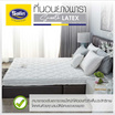 Satin Mattress รุ่น Smooth Latex ที่นอนยางพาราแท้ 100% หนา 4 นิ้ว สีขาว