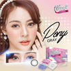 Wink คอนแทคเลนส์ โพนี่ สีเทา แบบรายเดือน -250